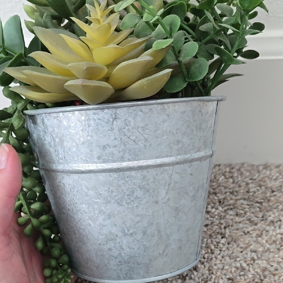 Succulent Arrangement in Gray Metal Pot - Picture 7 of 9